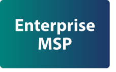 Enterprise MSP